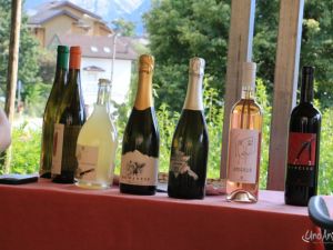 UA240720Trentino wijnproeverijIMG_3141IMG_3141.JPG